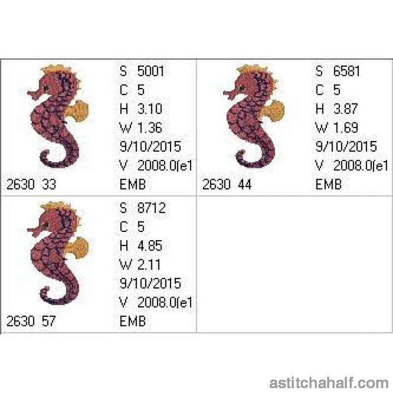 Trendy Seahorse