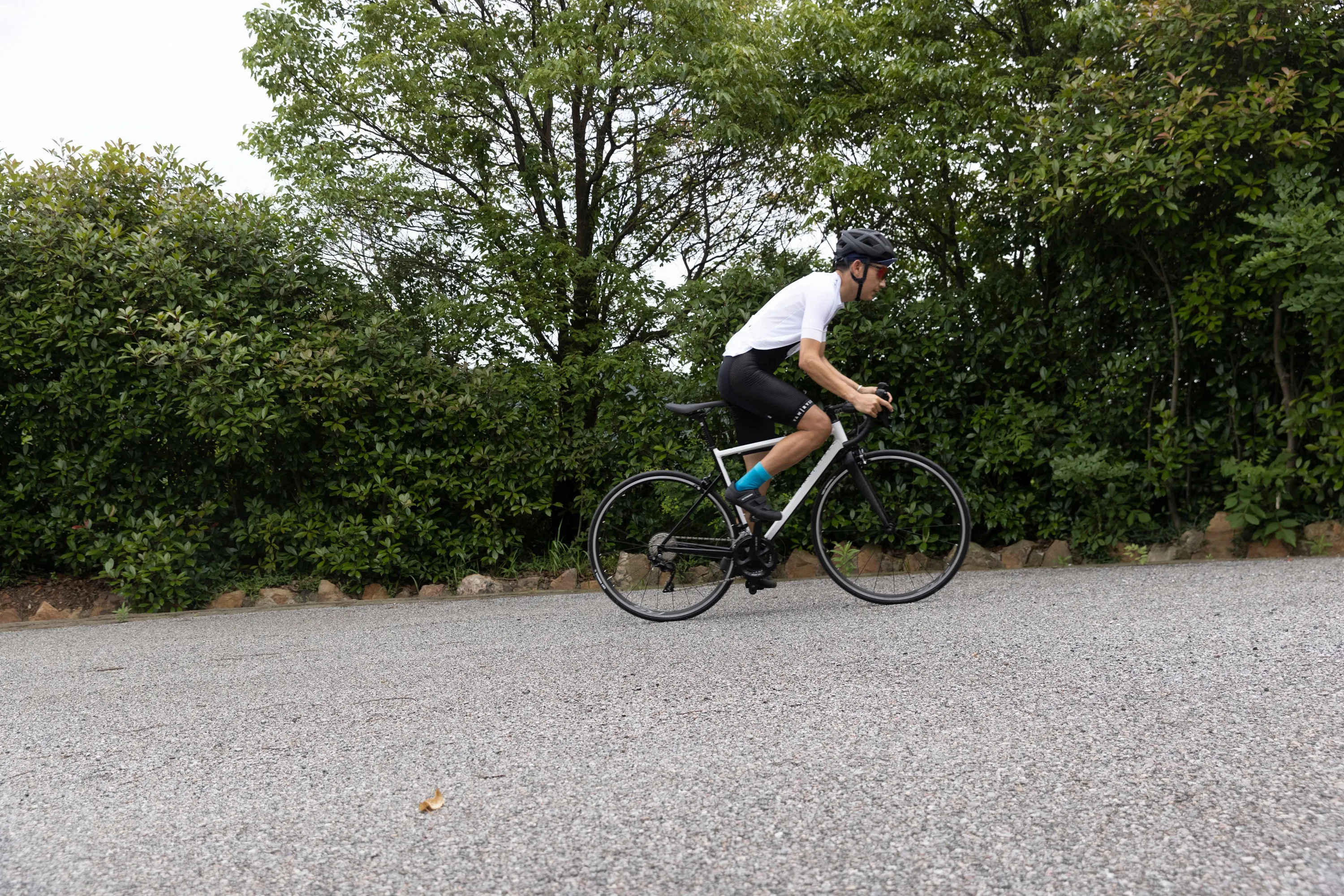 Van Rysel EDR AF105 Road Bike